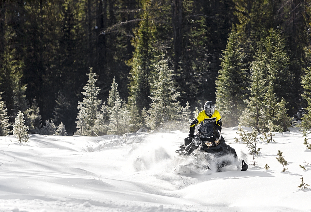    SKI-DOO SKANDIC WT 600 E-TEC v 2016  3 