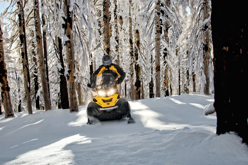    SKI-DOO SKANDIC SWT 550 v 2015  3 