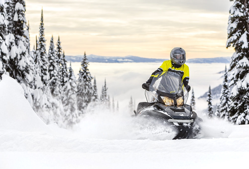    SKI-DOO SKANDIC SWT 600 E-TEC v 2016  4 