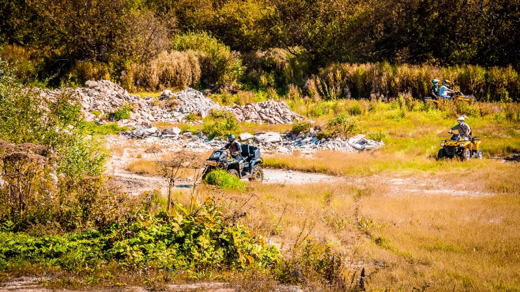 DSC_1018.jpg